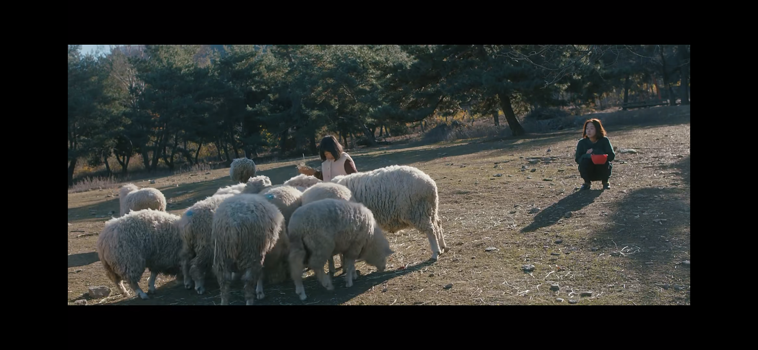 远方剧照的剧照