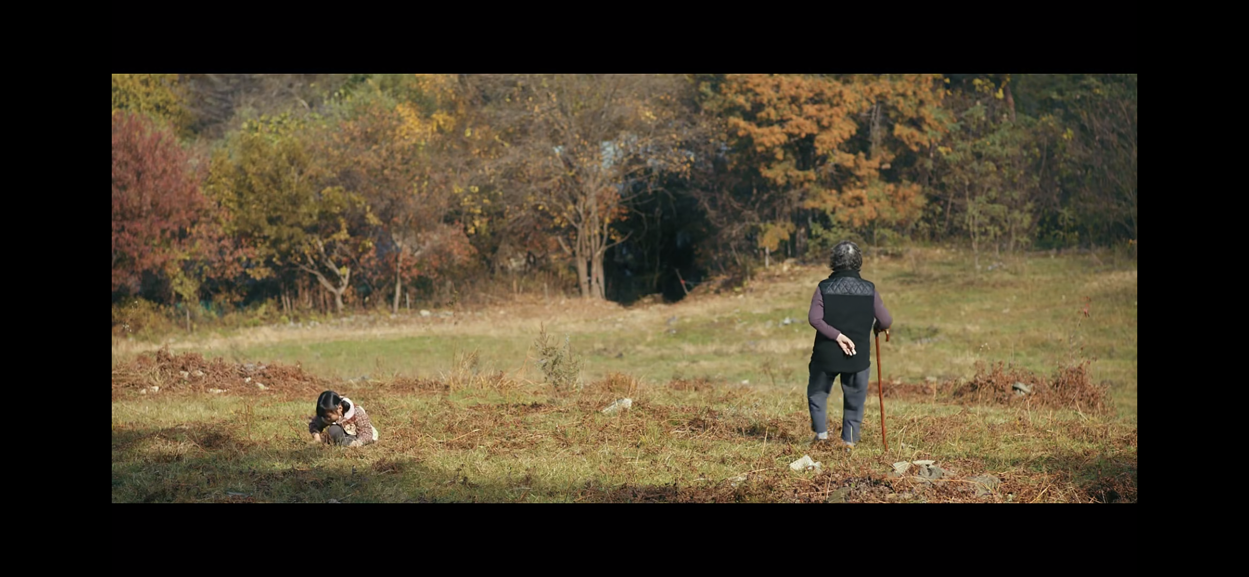 远方剧照的剧照