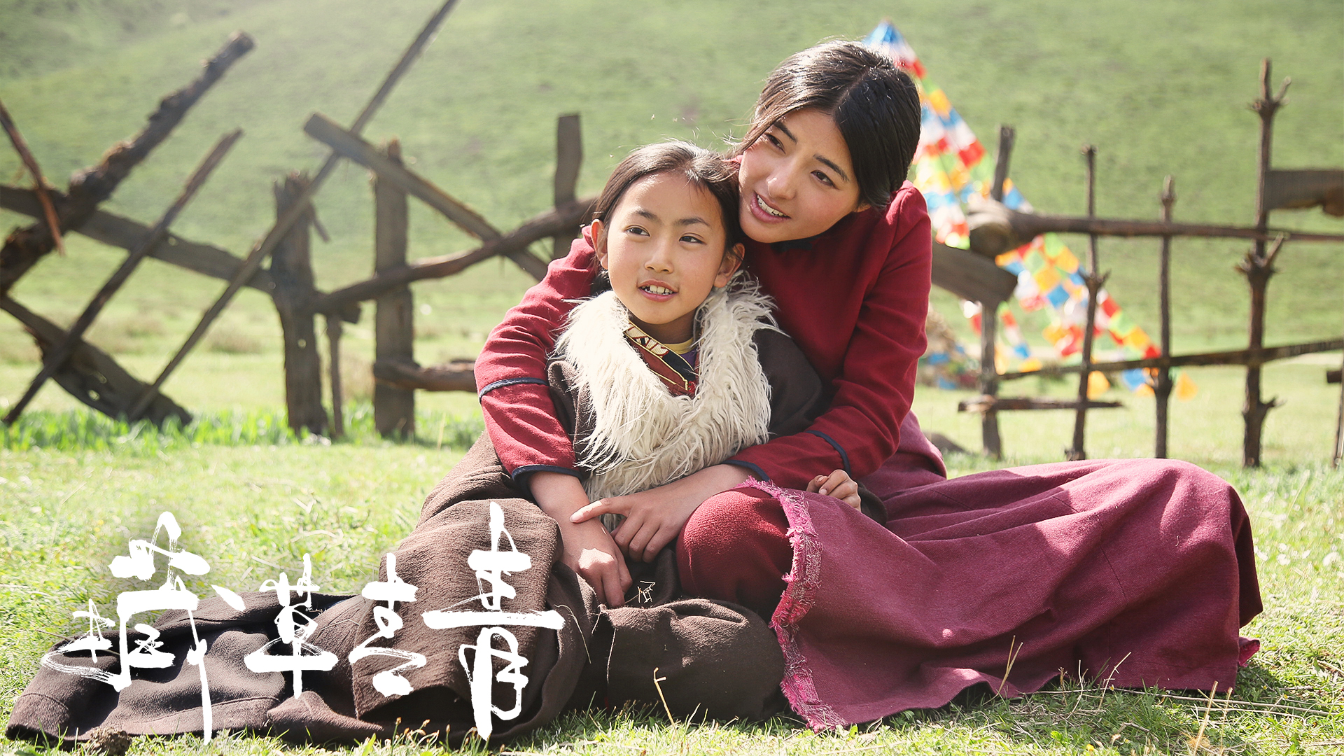 藏草青青剧照的剧照