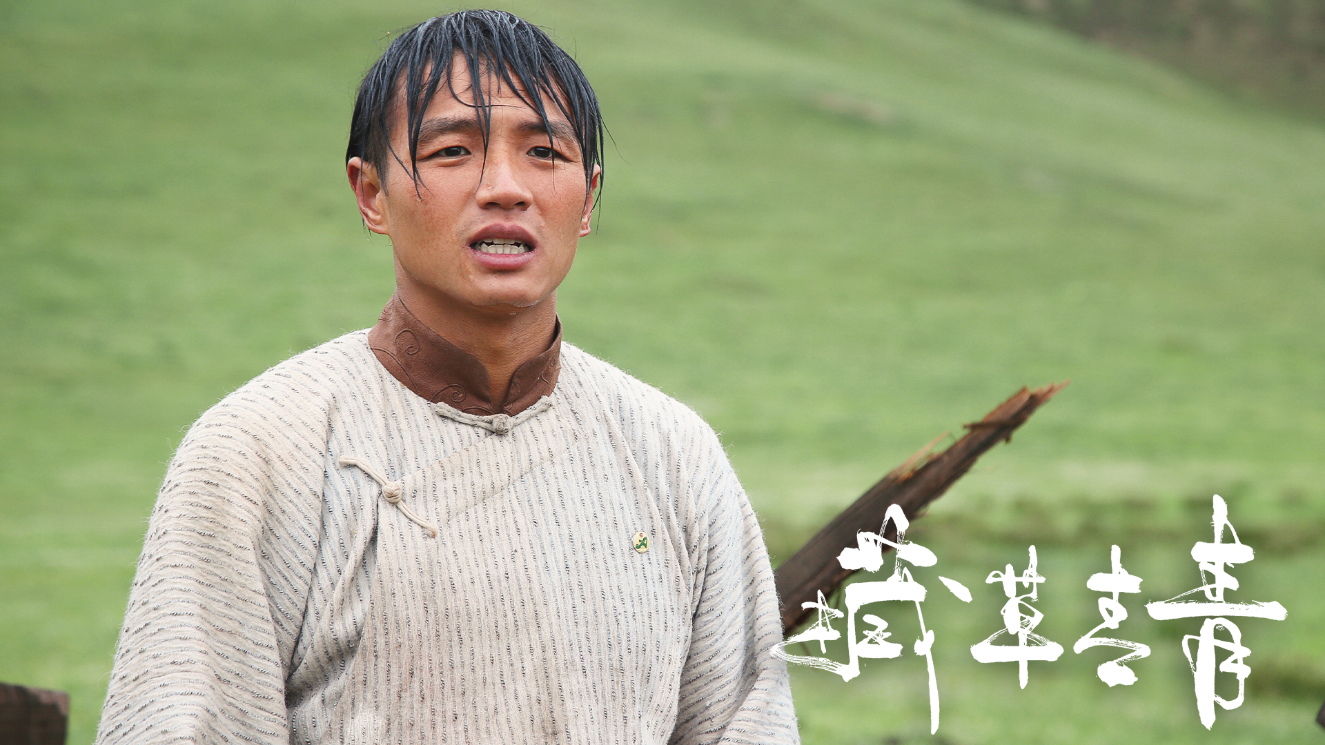 藏草青青剧照的剧照