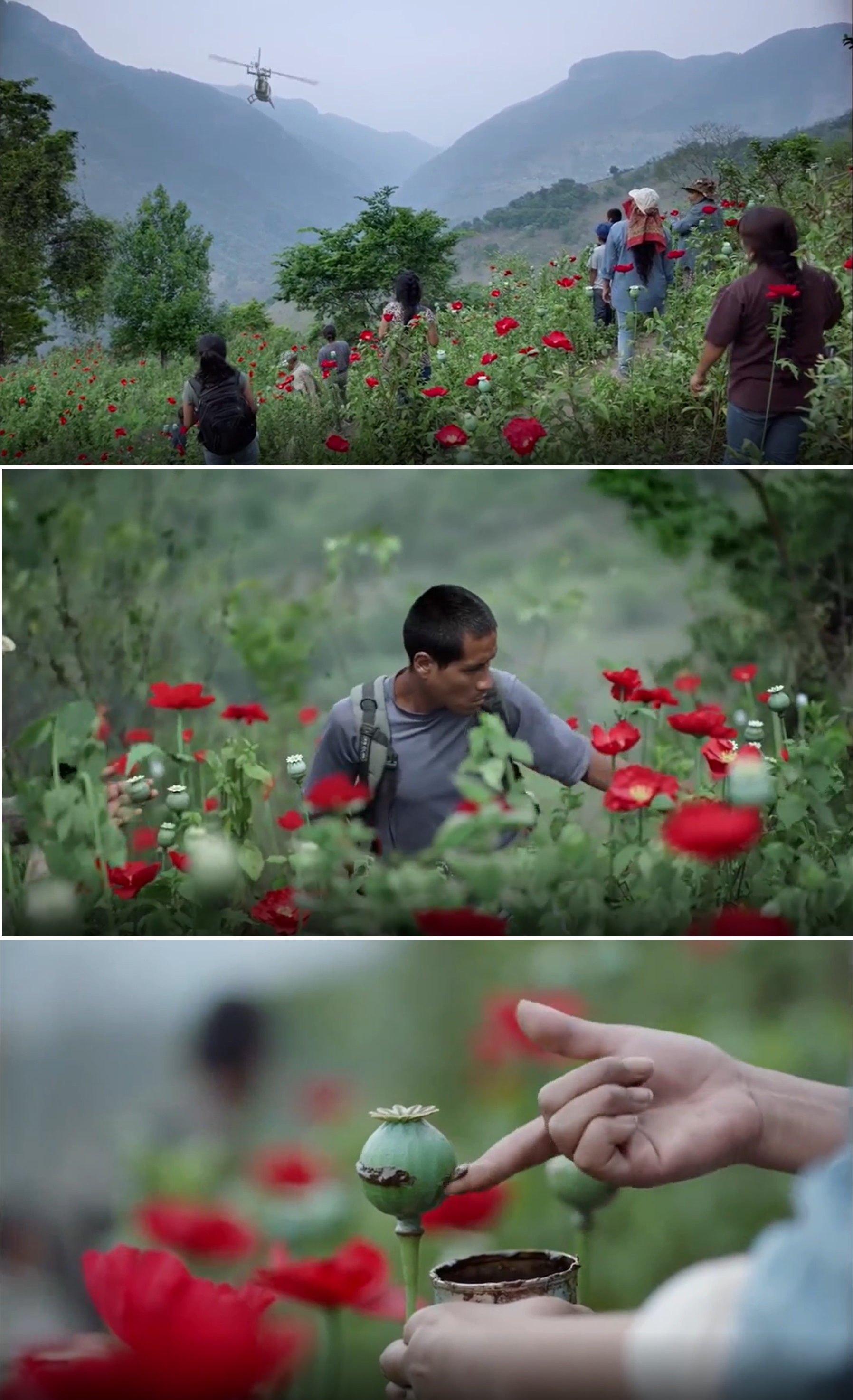 火之夜剧照的剧照