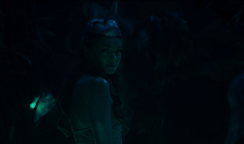 天堂鸟剧照的剧照