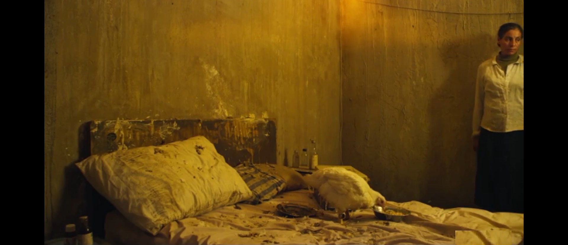 羽毛剧照的剧照