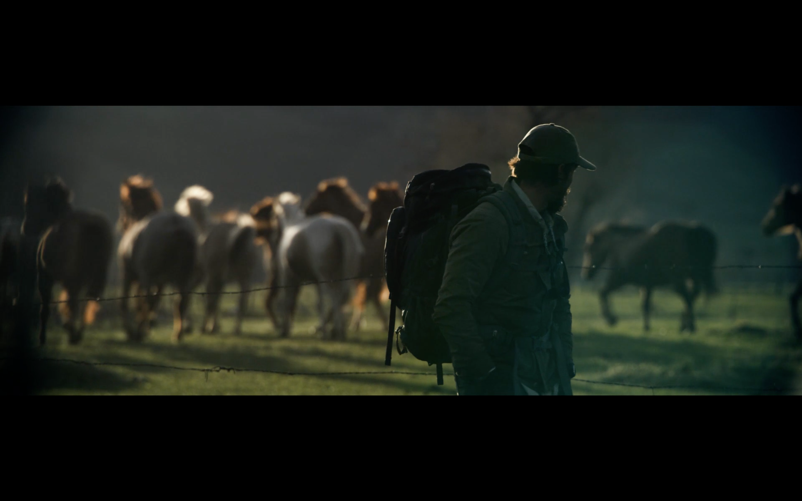 乔·贝尔剧照的剧照