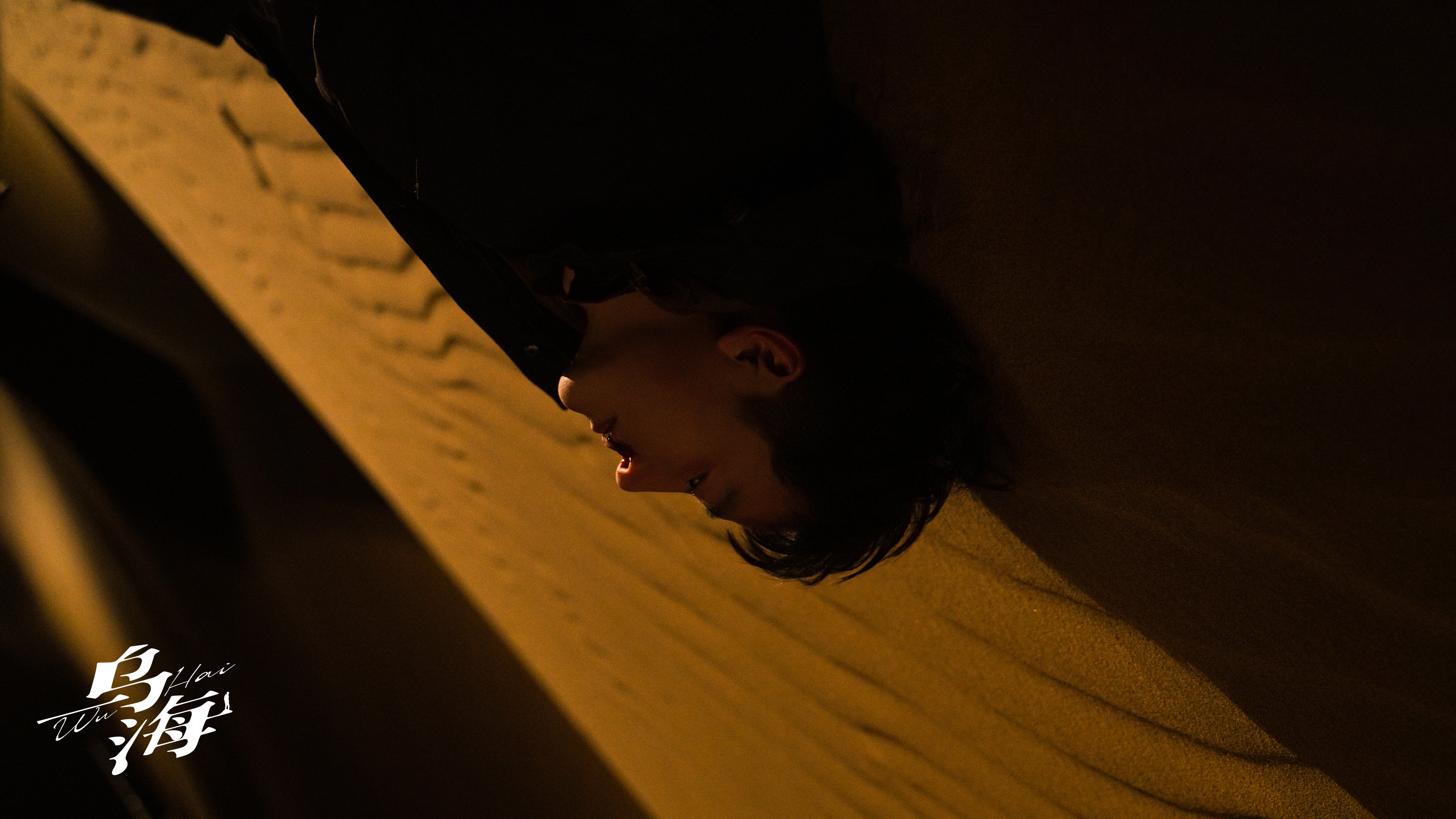 乌海剧照的剧照