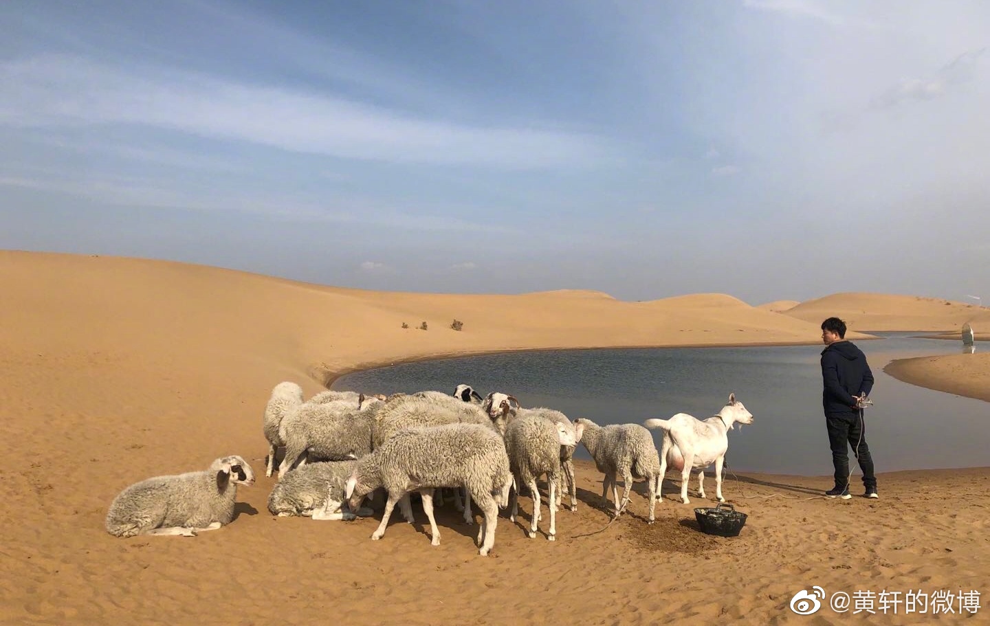 乌海剧照的剧照