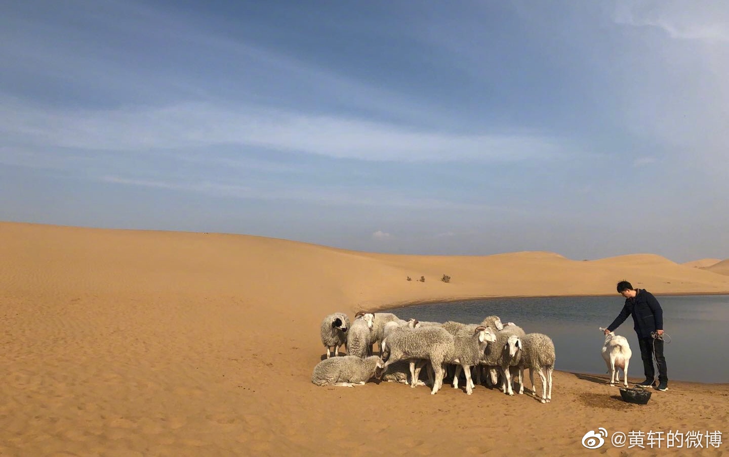 乌海剧照的剧照