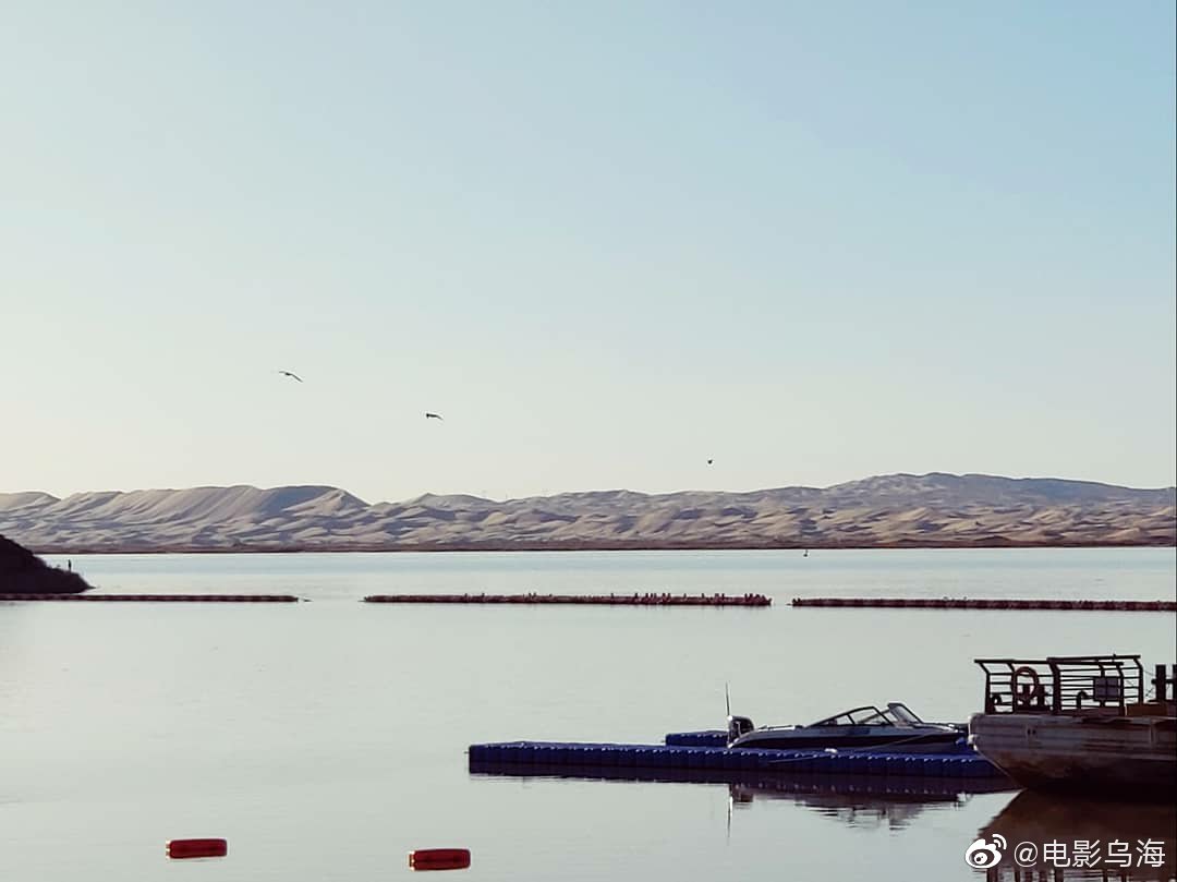 乌海剧照的剧照