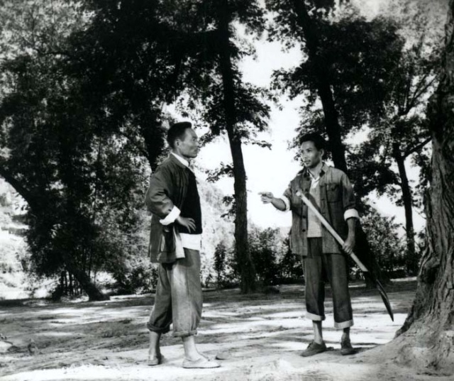 欢腾的小凉河剧照的剧照