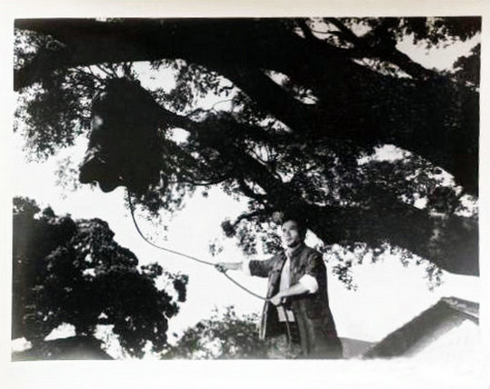 欢腾的小凉河剧照的剧照