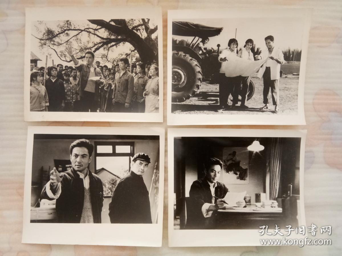 欢腾的小凉河剧照的剧照