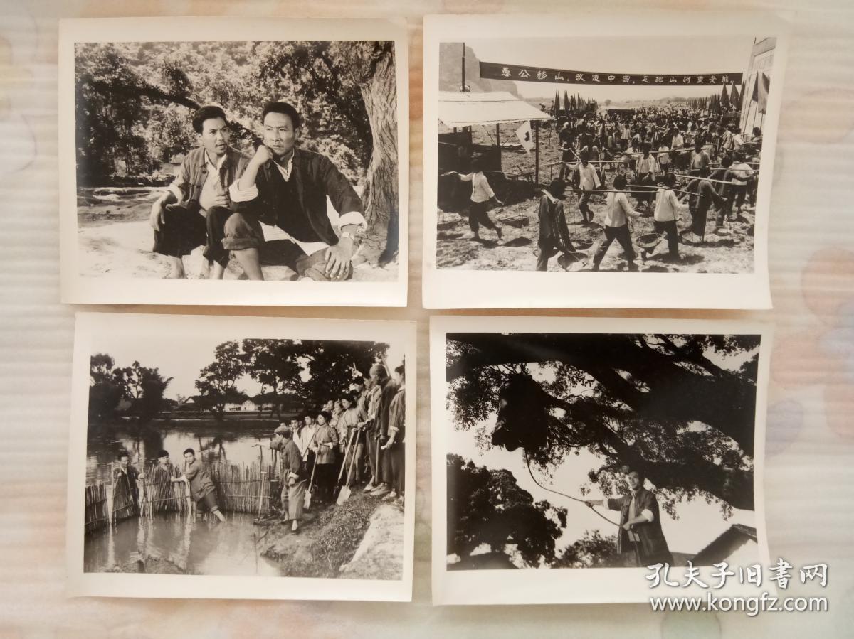 欢腾的小凉河剧照的剧照