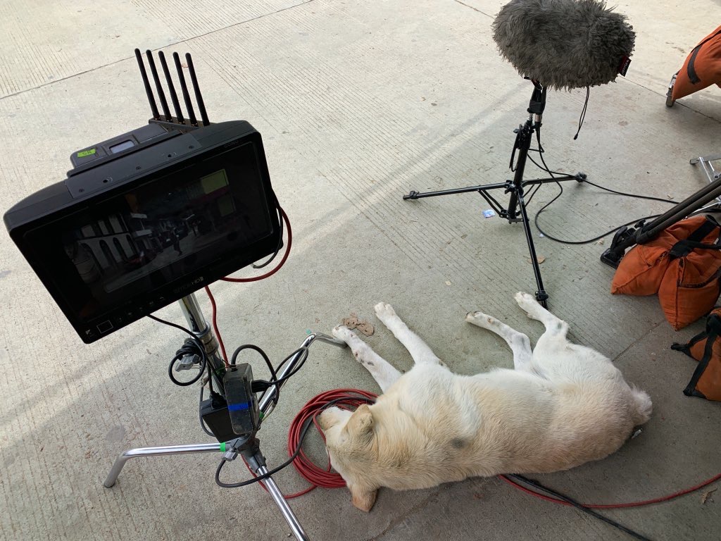 记忆剧照的剧照