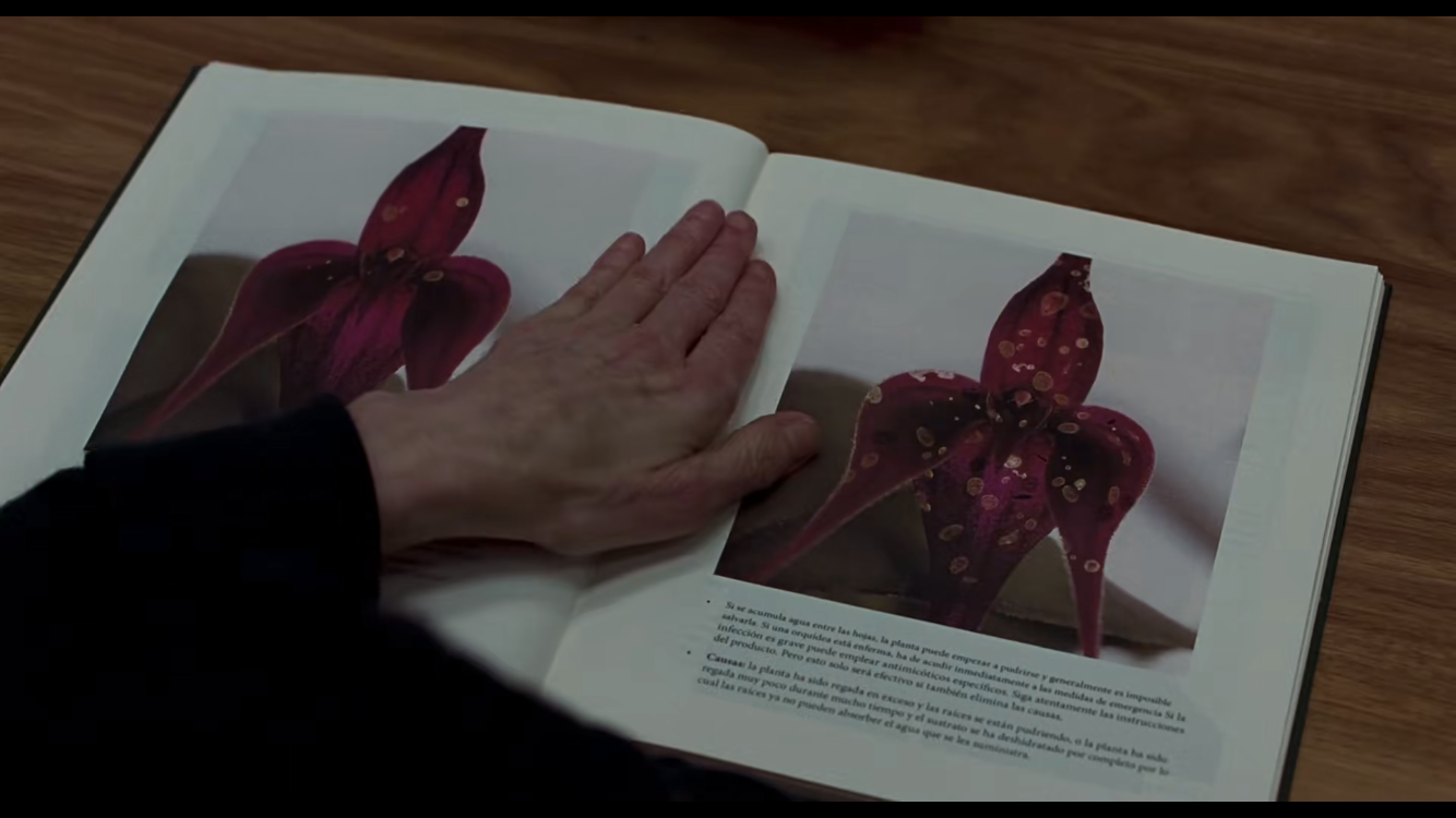 记忆剧照的剧照