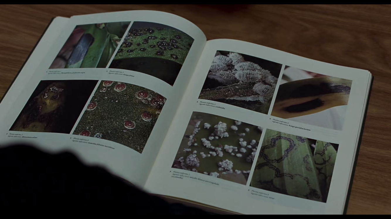 记忆剧照的剧照