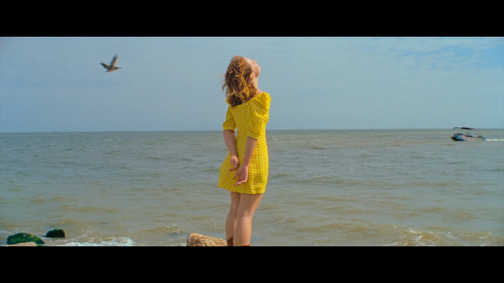 红色火箭剧照的剧照