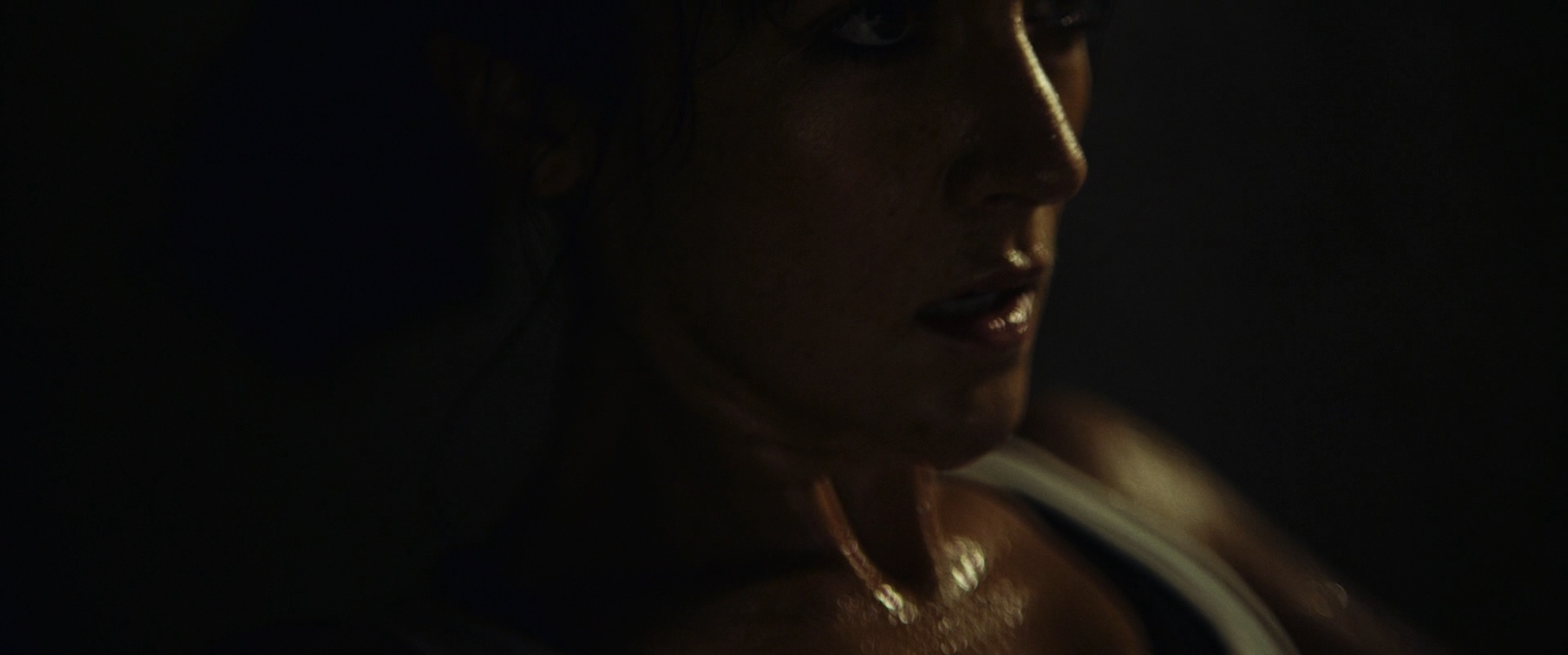 新手剧照的剧照