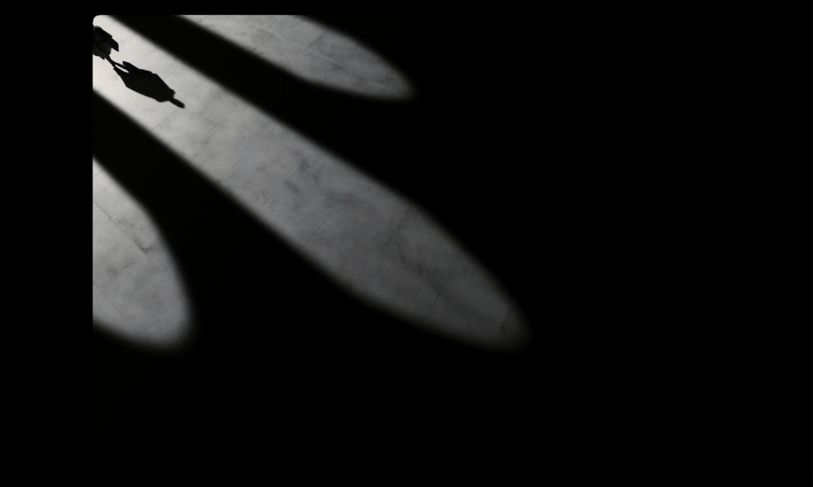 麦克白的悲剧剧照的剧照