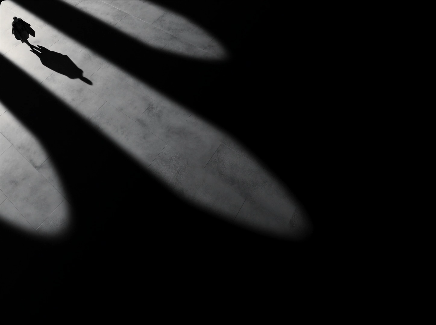 麦克白的悲剧剧照的剧照