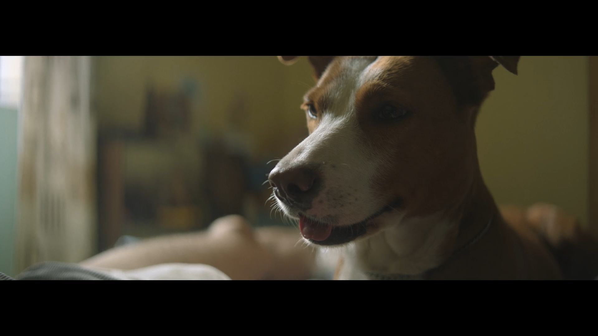 一部警察电影剧照的剧照