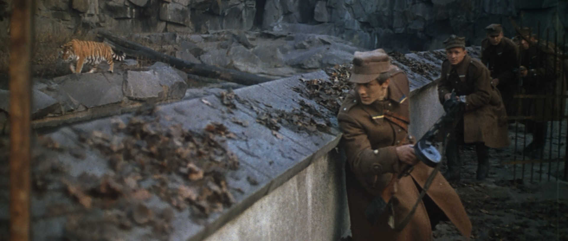 解放4：柏林之战剧照的剧照