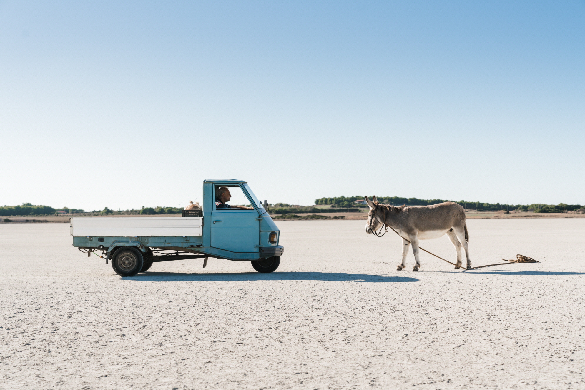 买月亮的人剧照的剧照