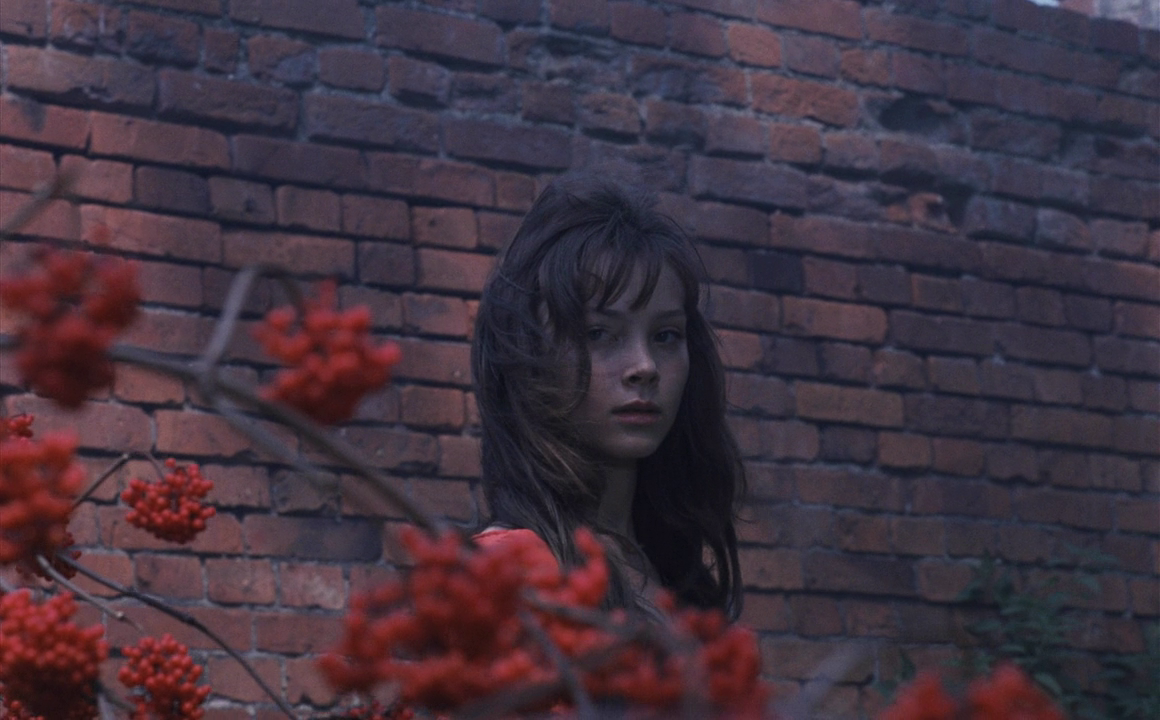 我亲昵而温柔的野兽剧照的剧照