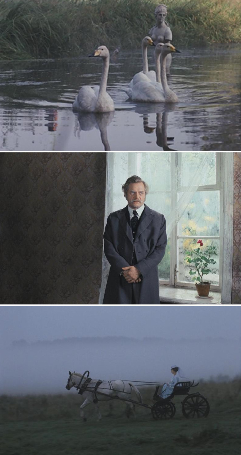 我亲昵而温柔的野兽剧照的剧照