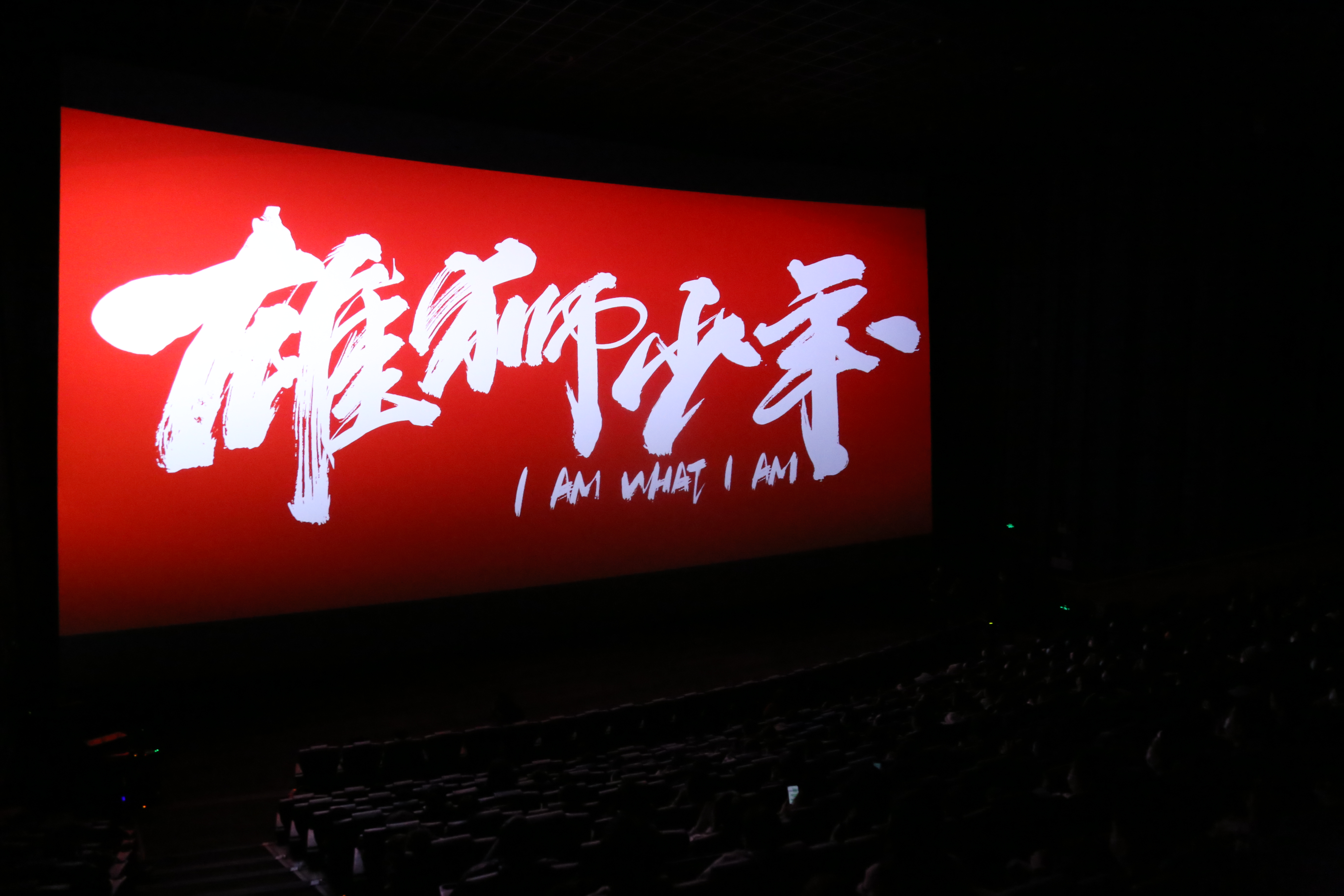 雄狮少年剧照的剧照