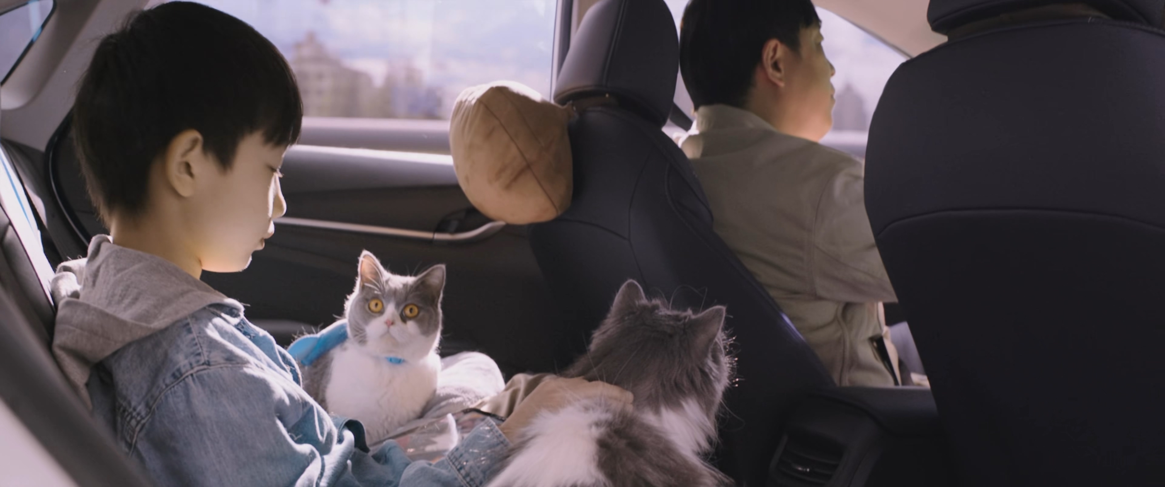 穿过寒冬拥抱你剧照的剧照