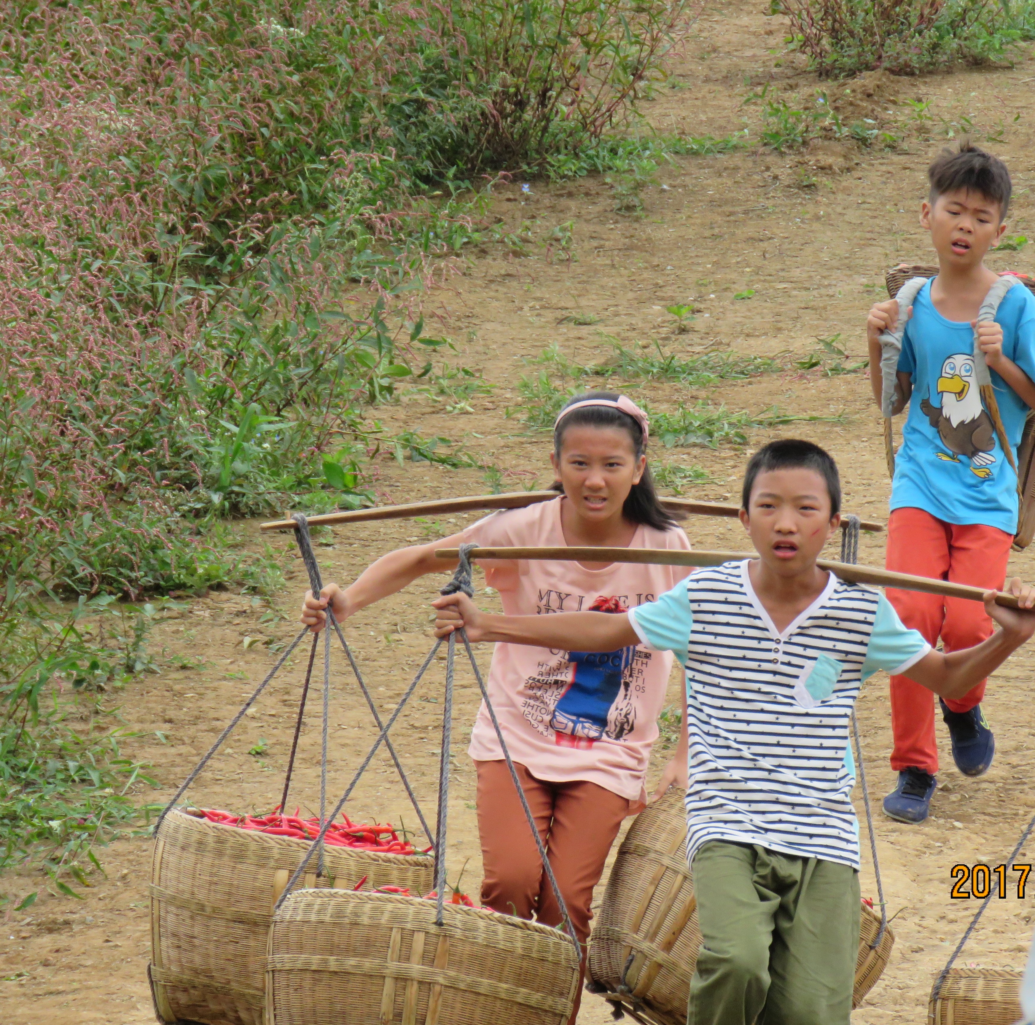 红辣椒剧照的剧照