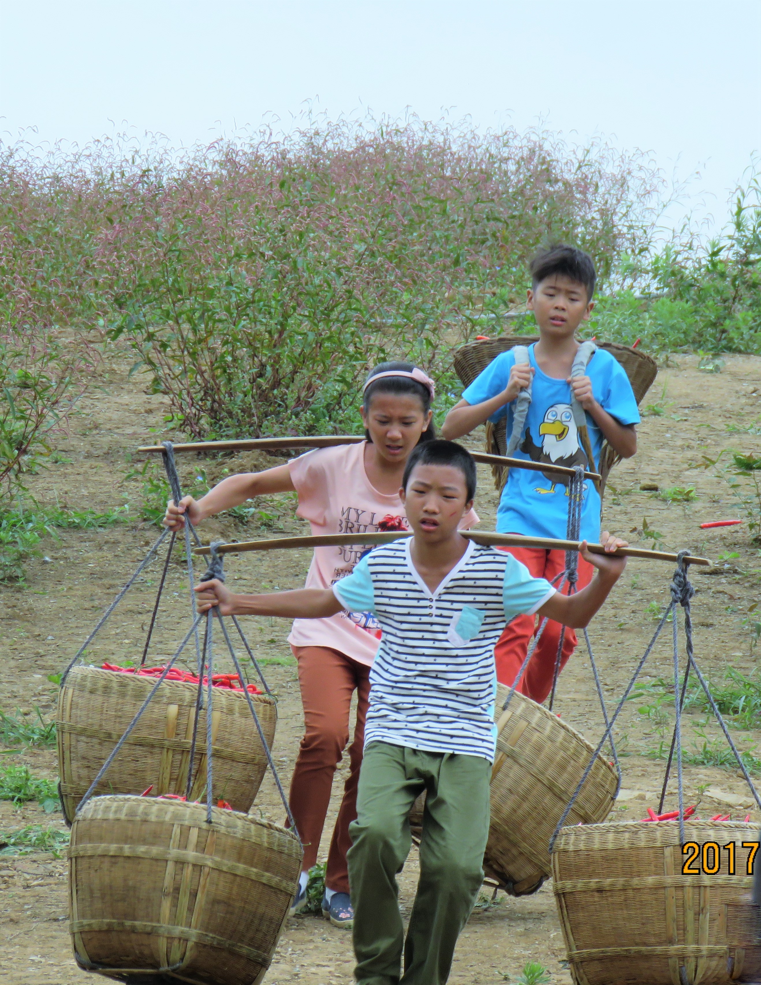 红辣椒剧照的剧照