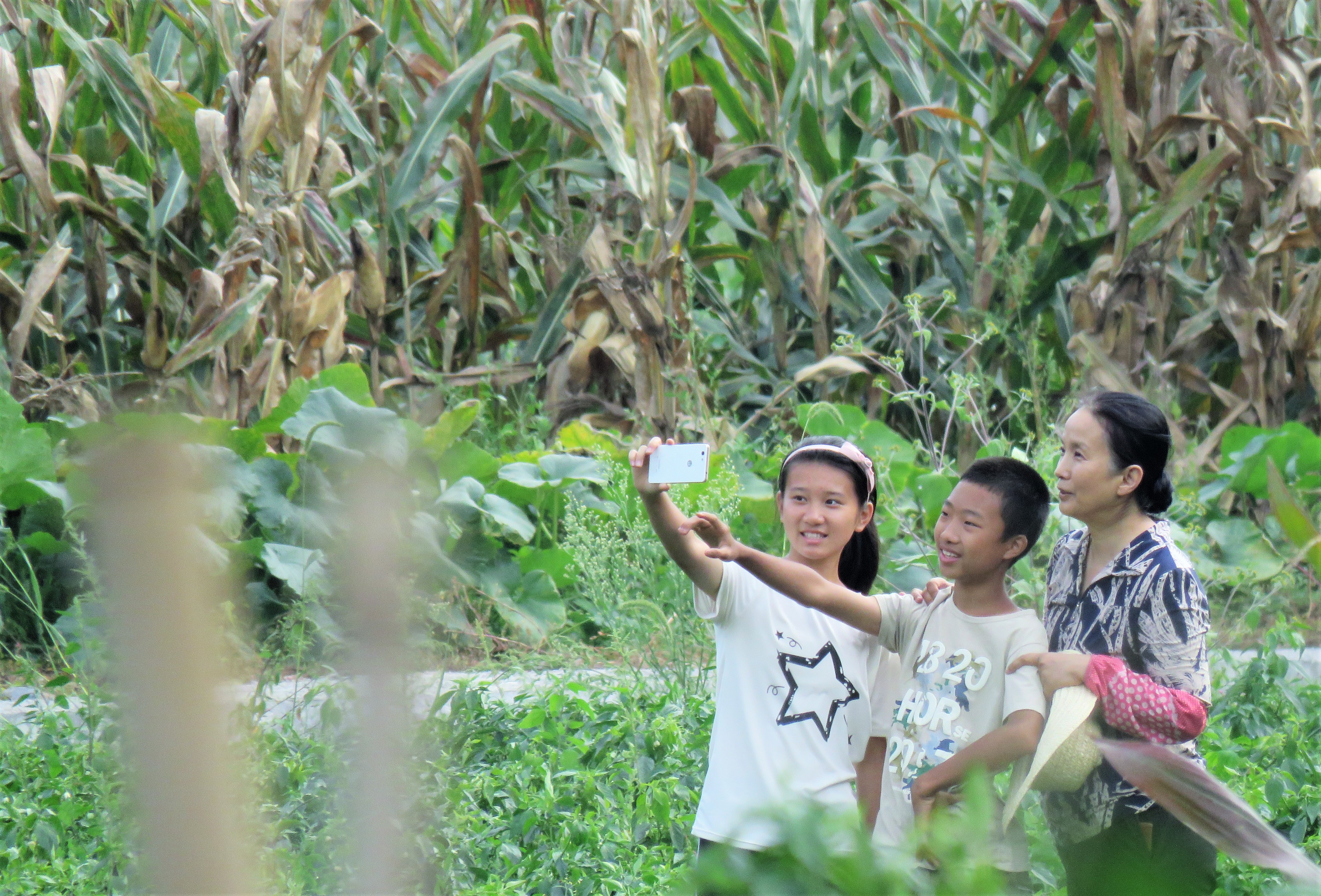 红辣椒剧照的剧照