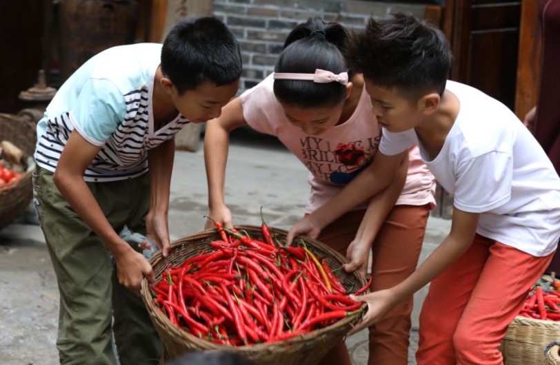 红辣椒剧照的剧照