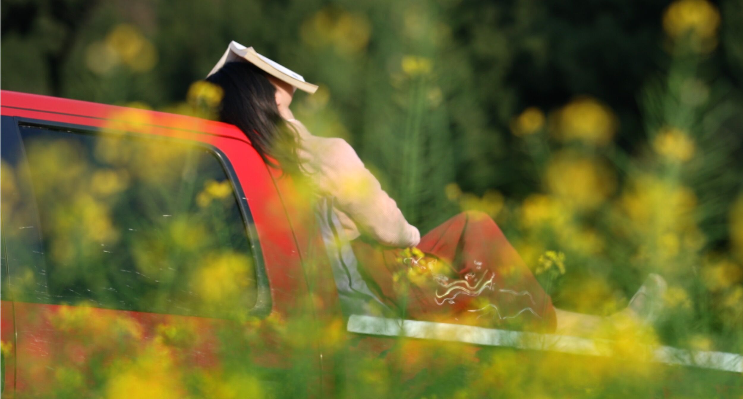 牧蜂姑娘剧照的剧照