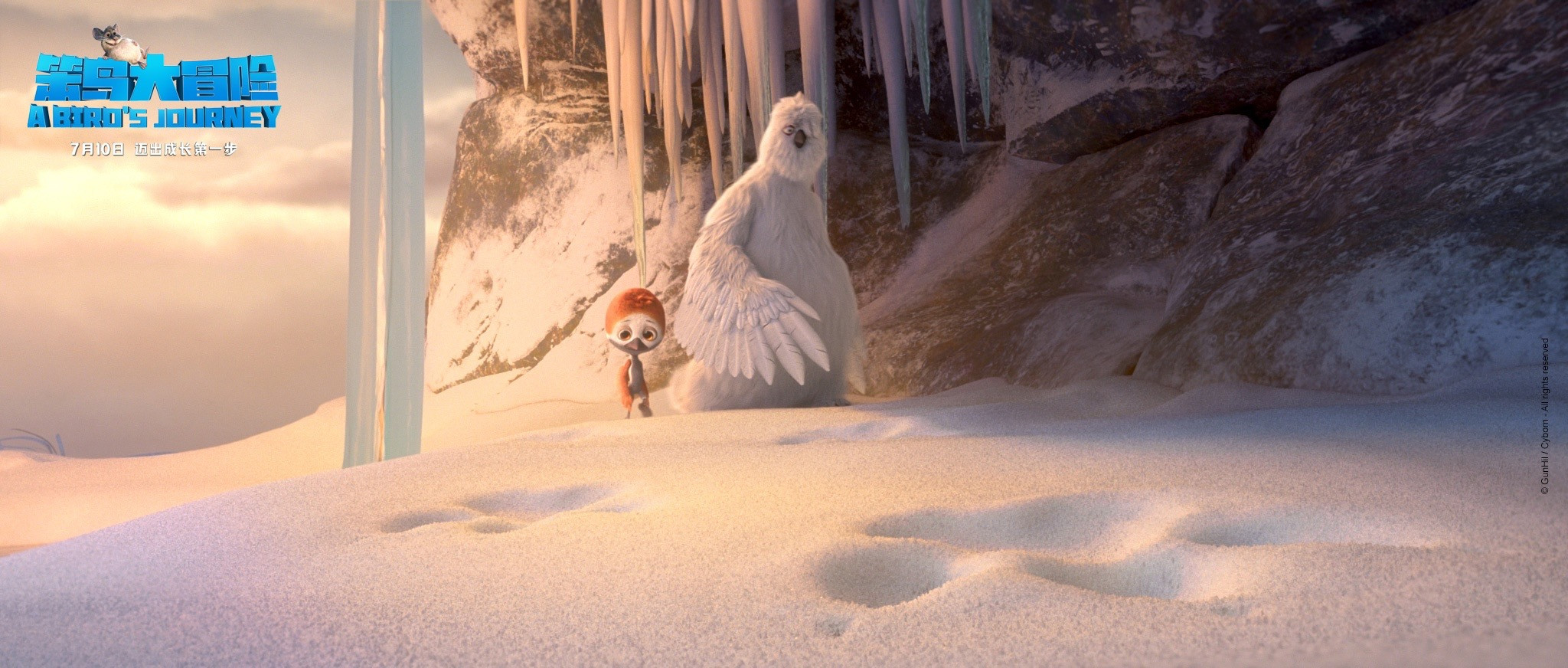 笨鸟大冒险剧照的剧照