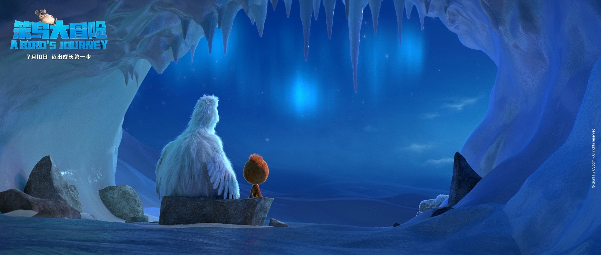 笨鸟大冒险剧照的剧照