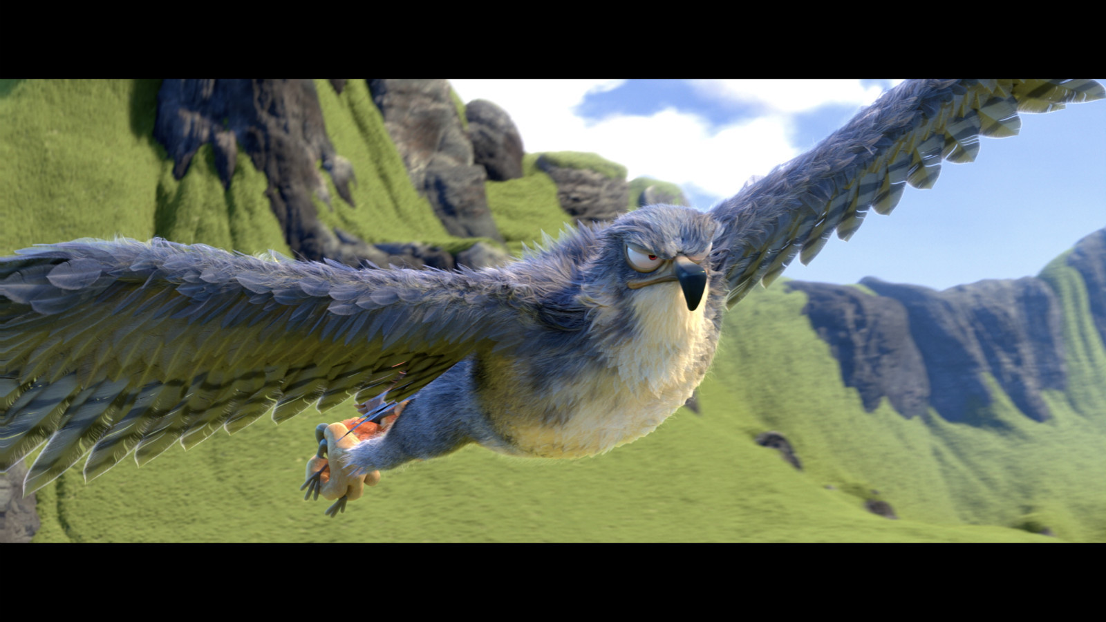 笨鸟大冒险剧照的剧照