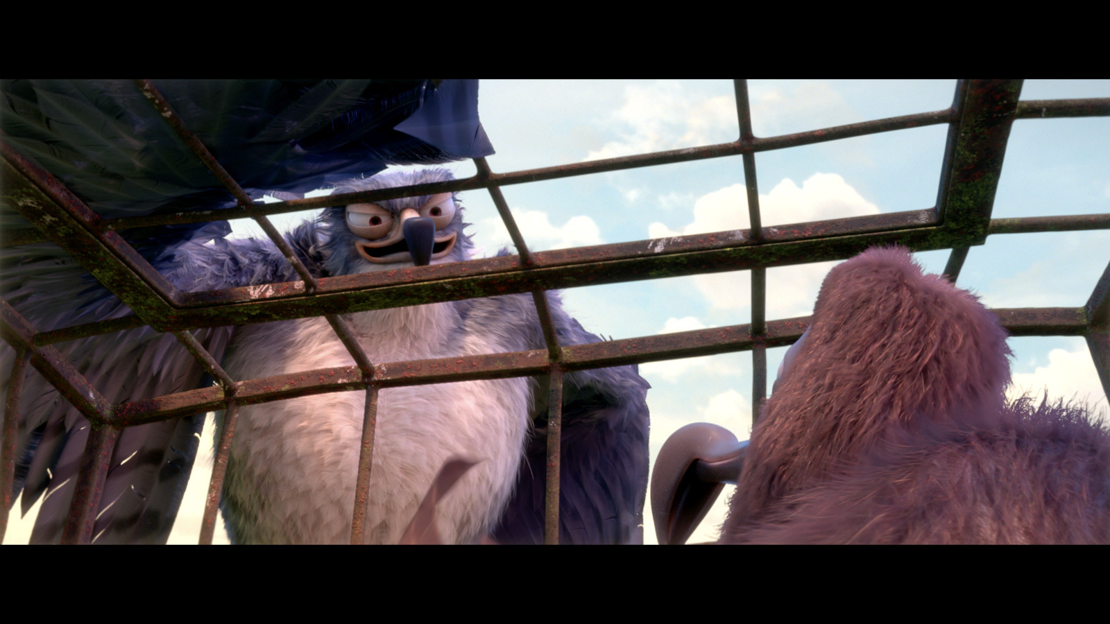 笨鸟大冒险剧照的剧照