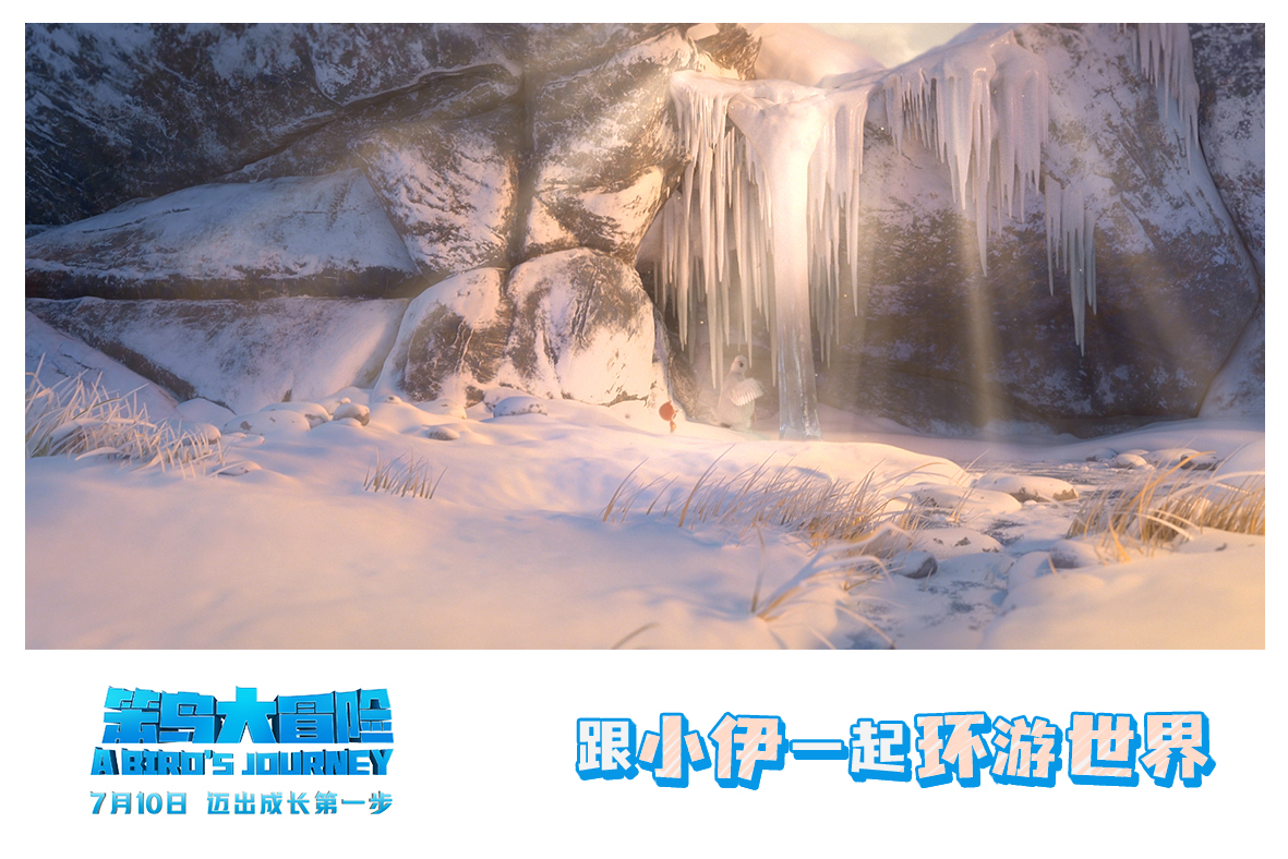 笨鸟大冒险剧照的剧照