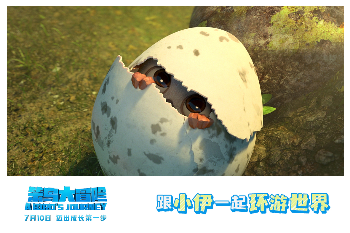 笨鸟大冒险剧照的剧照