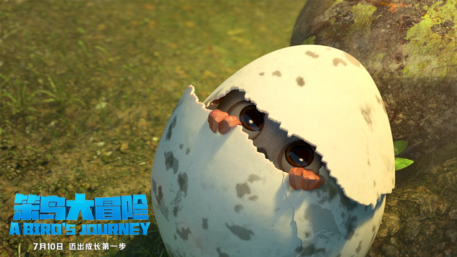 笨鸟大冒险剧照的剧照