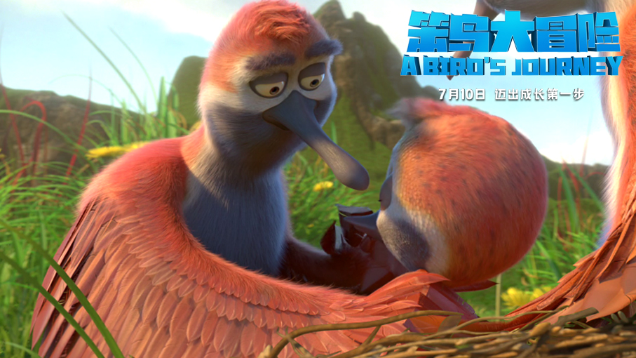 笨鸟大冒险剧照的剧照