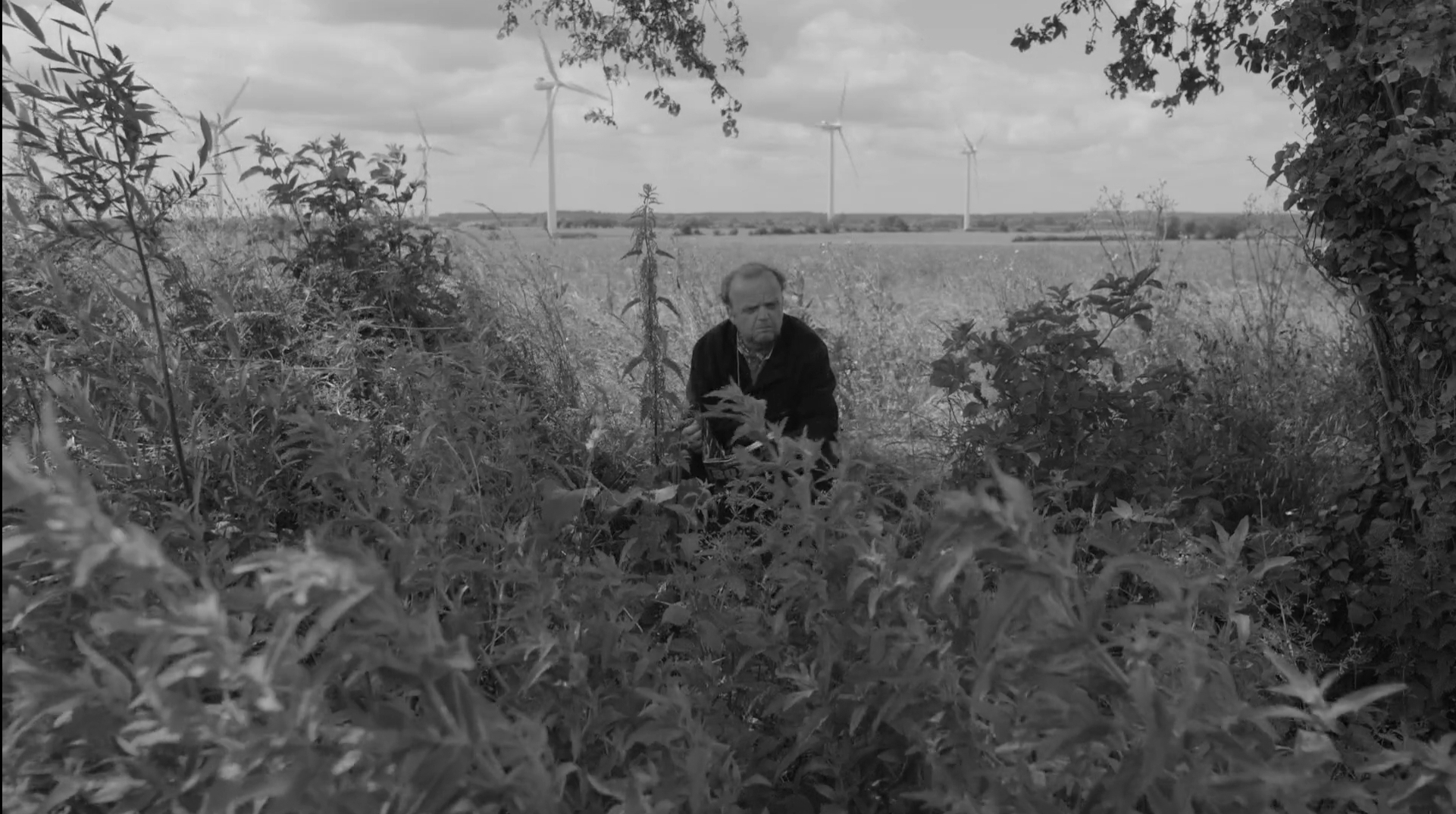 仅靠我们自己剧照的剧照