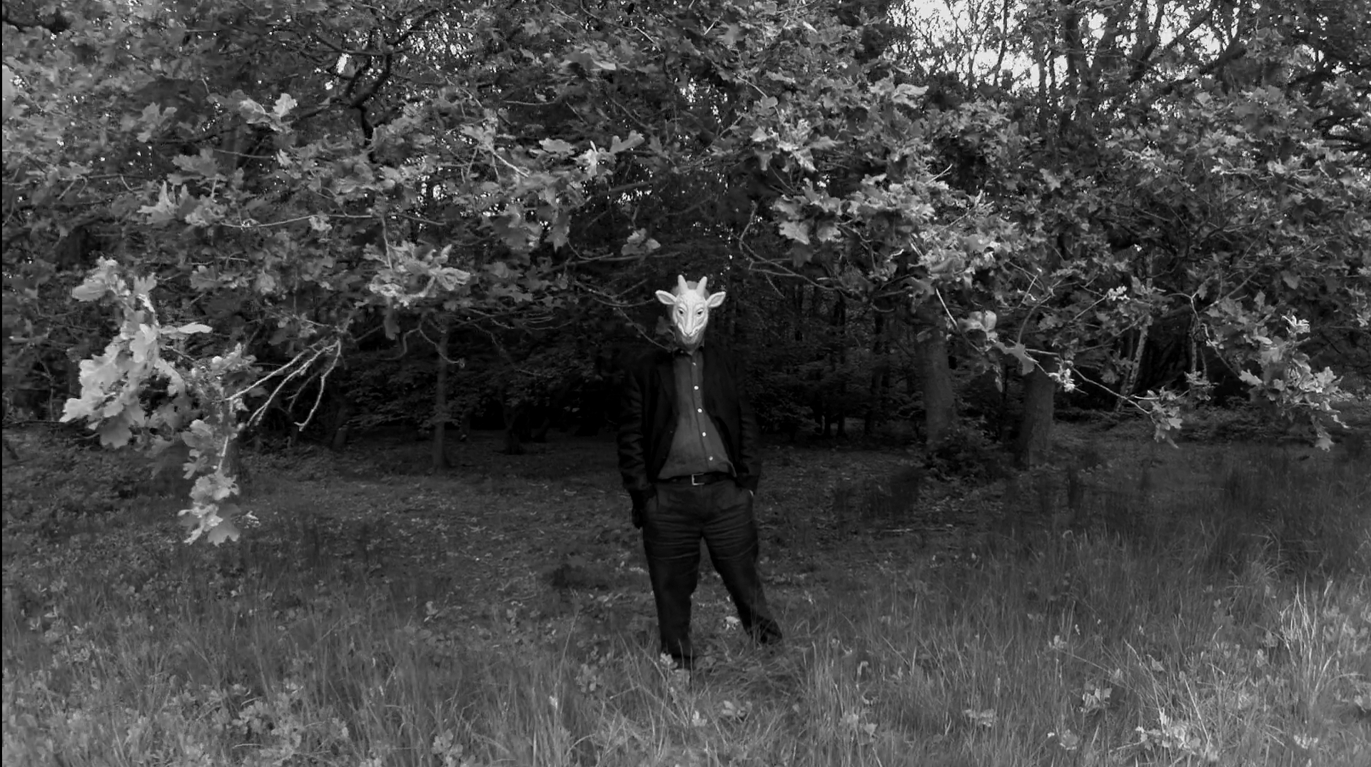 仅靠我们自己剧照的剧照