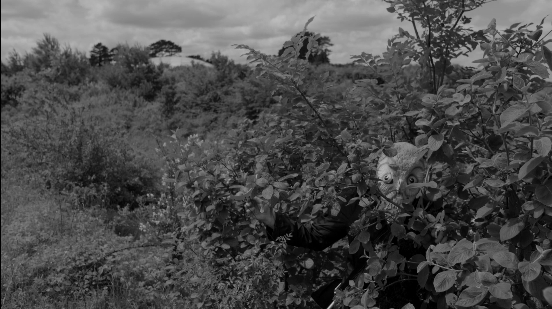 仅靠我们自己剧照的剧照