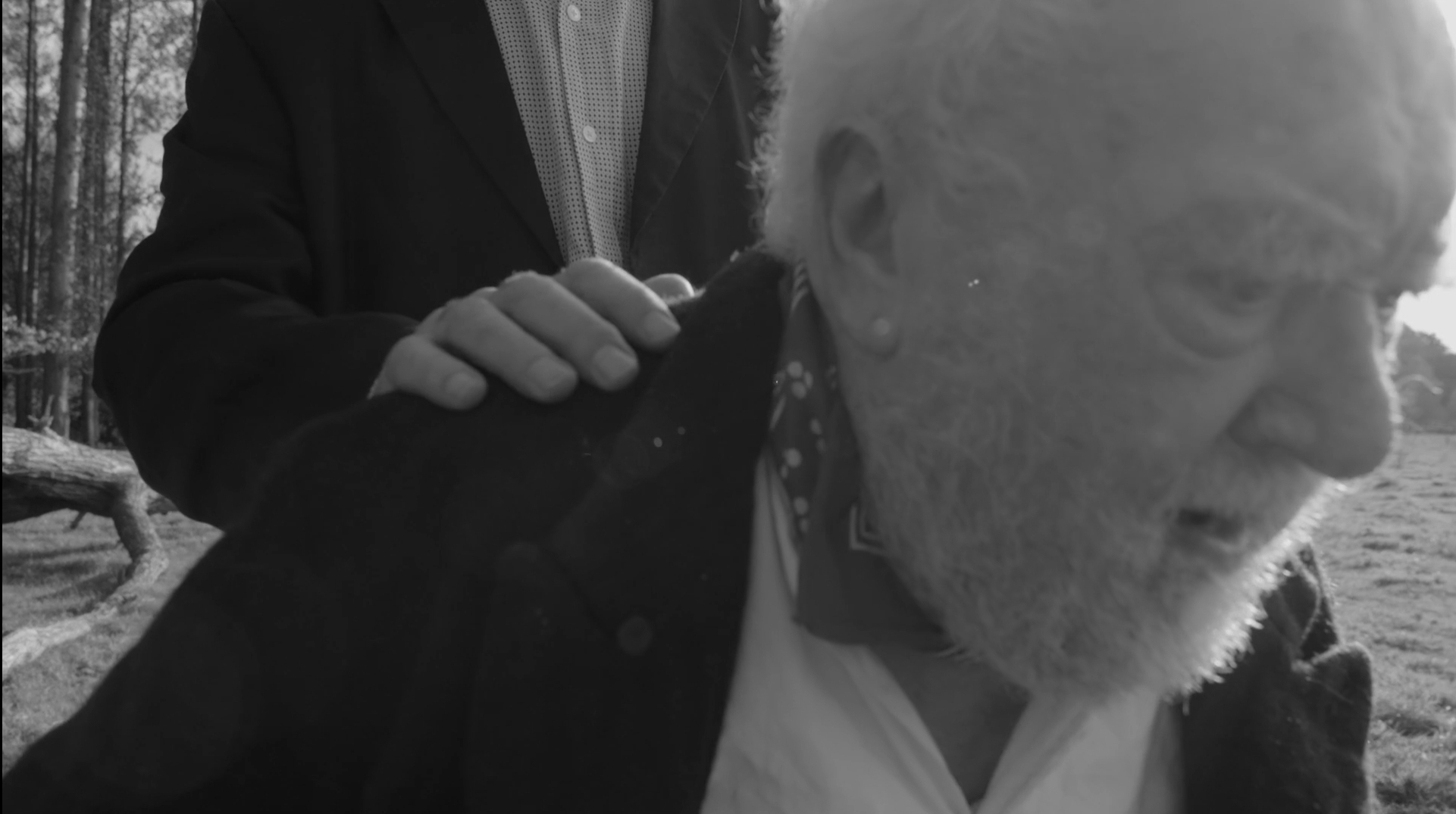 仅靠我们自己剧照的剧照