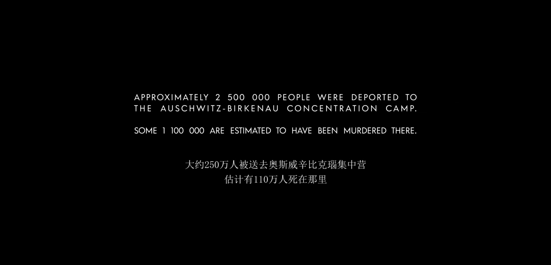 奥斯维辛报告剧照的剧照