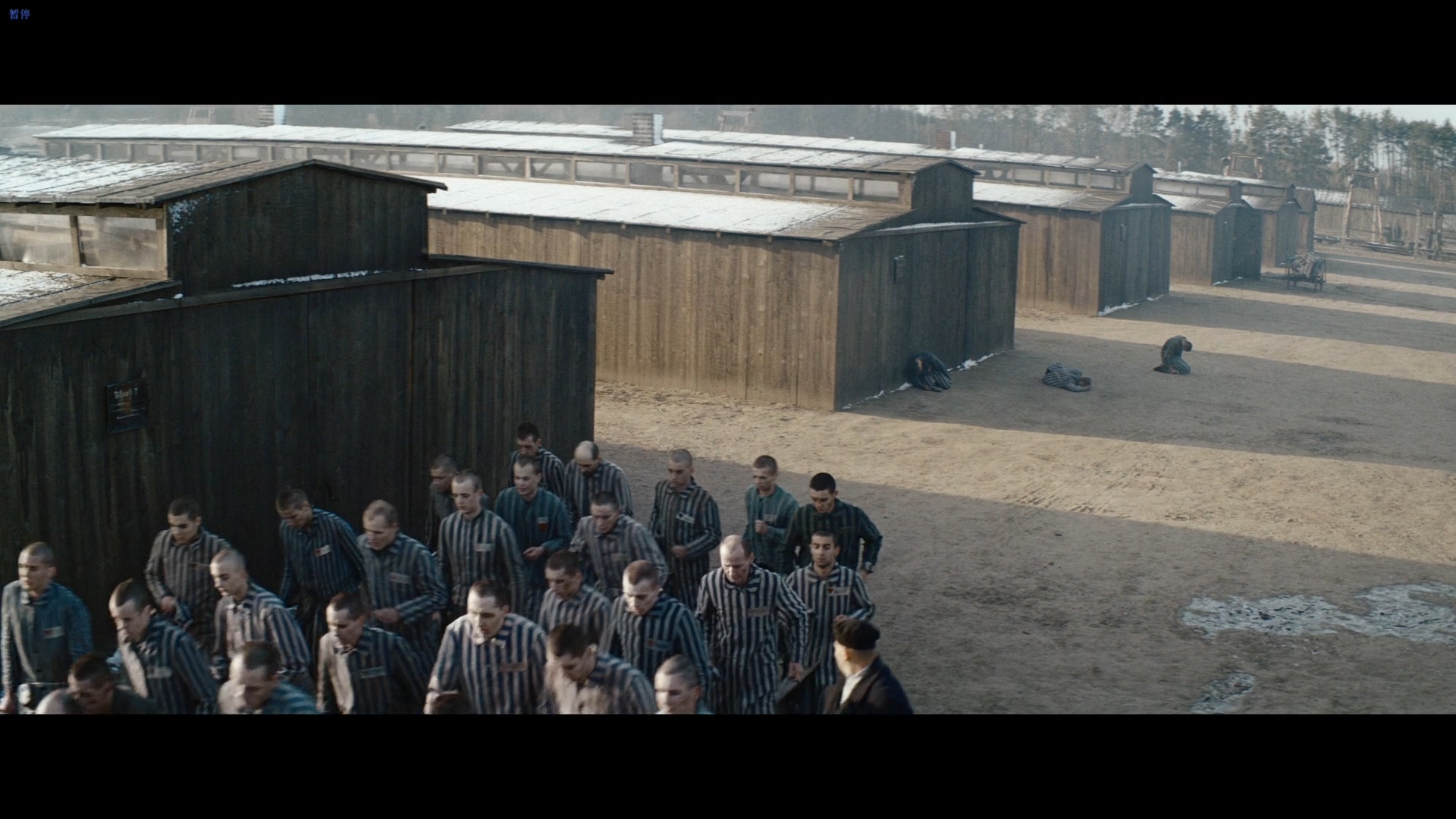 奥斯维辛报告剧照的剧照