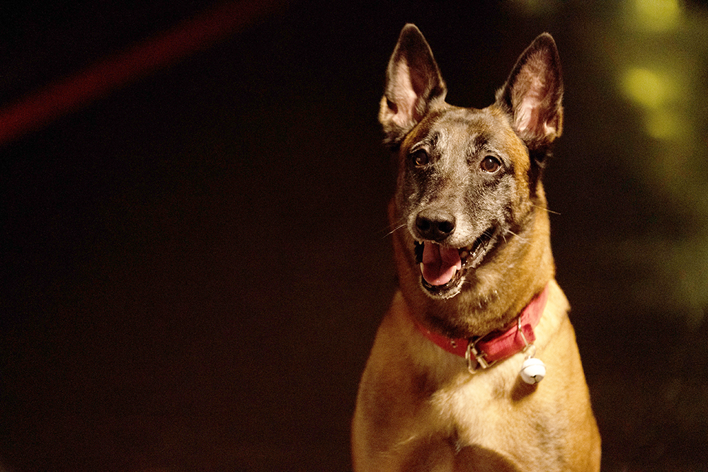 月老剧照的剧照